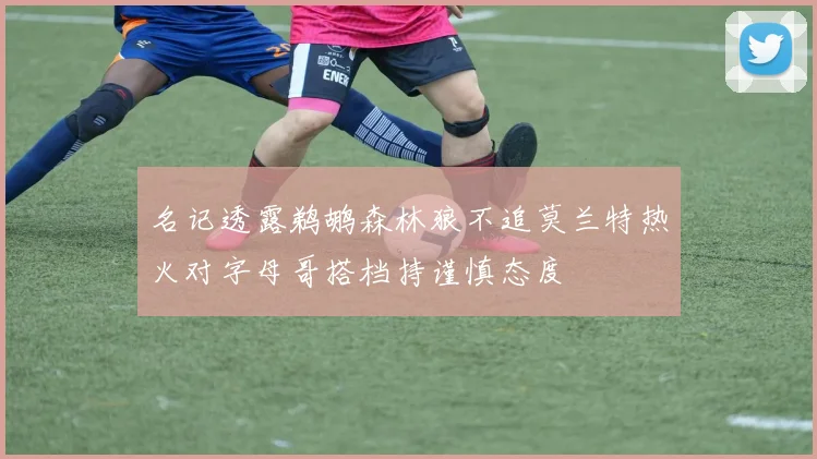 名记透露鹈鹕森林狼不追莫兰特热火对字母哥搭档持谨慎态度